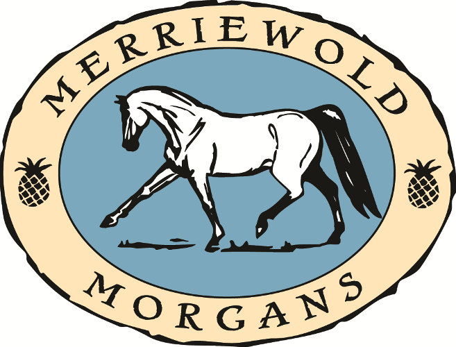 merriewoldlogo Dressage Association