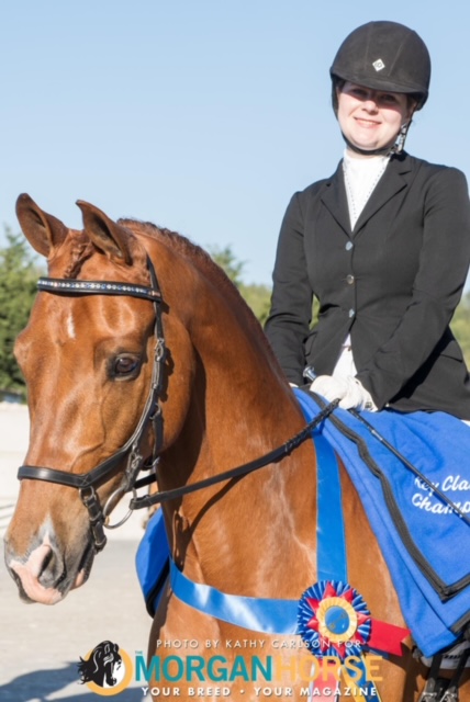 KeyClassic – Morgan Dressage Association