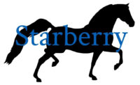 Lindsey Berry Starberry Farm Logo