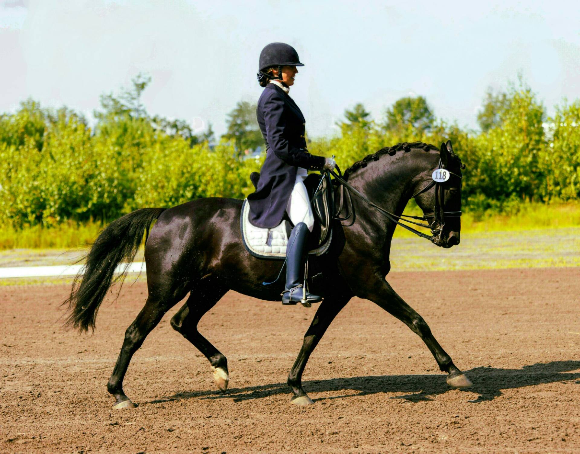 Margaret Bailey & Kennebec Ladyhawke 