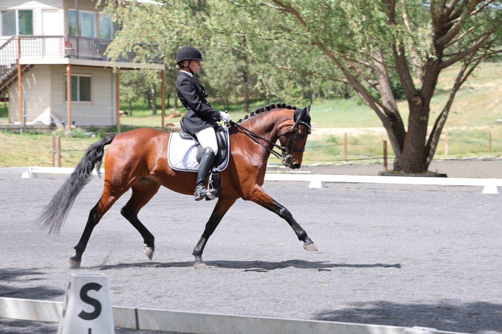 Sally Anderson and Moana Irish Mist
